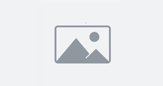 Blue Star Charters & Tours